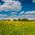 Blumenwiese am Dorfrand