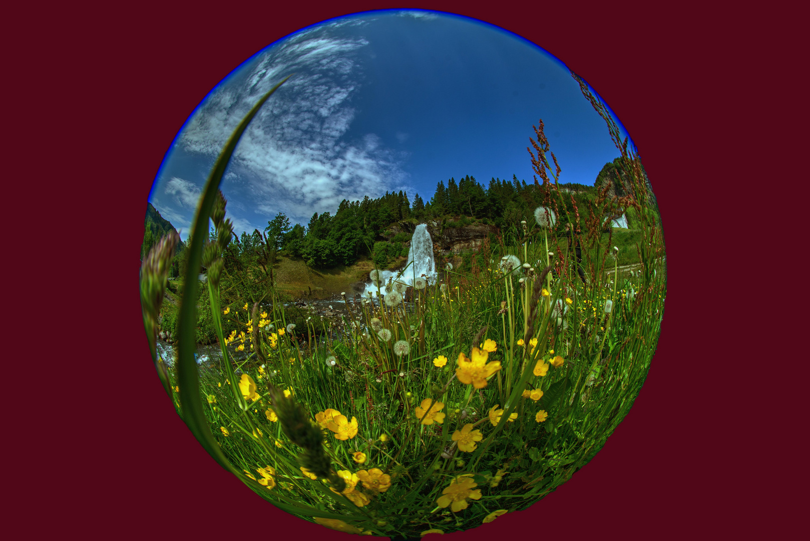 Blumenwiese am Wasserfall