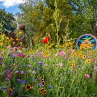 Blumenwiese am Zahnrad