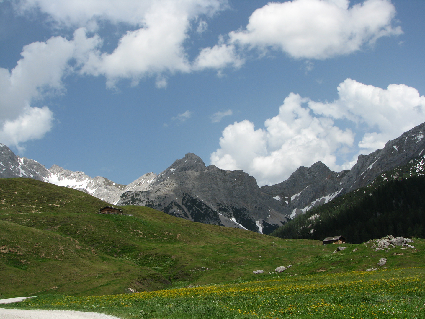 "Blumenwiese auf der Kallbrunnalm"