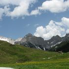 "Blumenwiese auf der Kallbrunnalm"