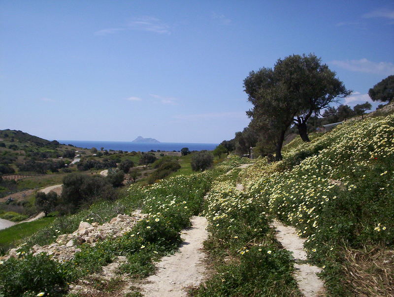 Blumenwiese auf Kreta