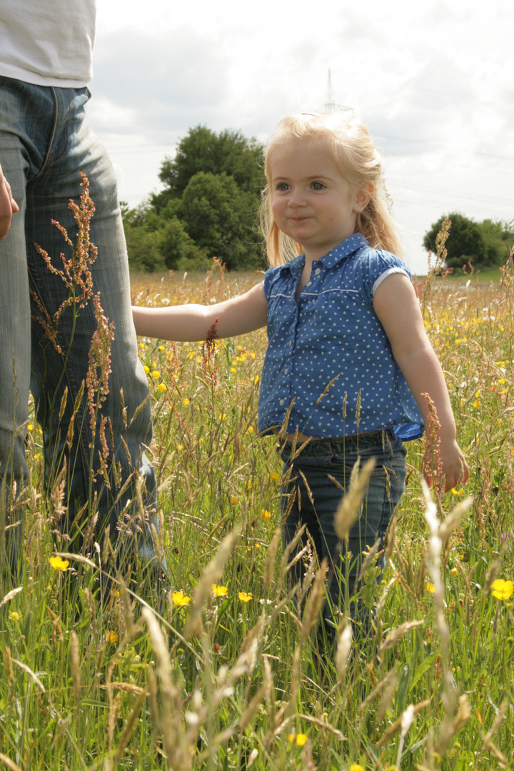 Blumenwiese