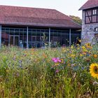 Blumenwiese im Kloster