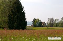 Blumenwiese im Naturschutzgebiet