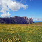 Blumenwiese in den Dolomiten