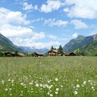 °°°° Blumenwiese in Kandersteg °°°°