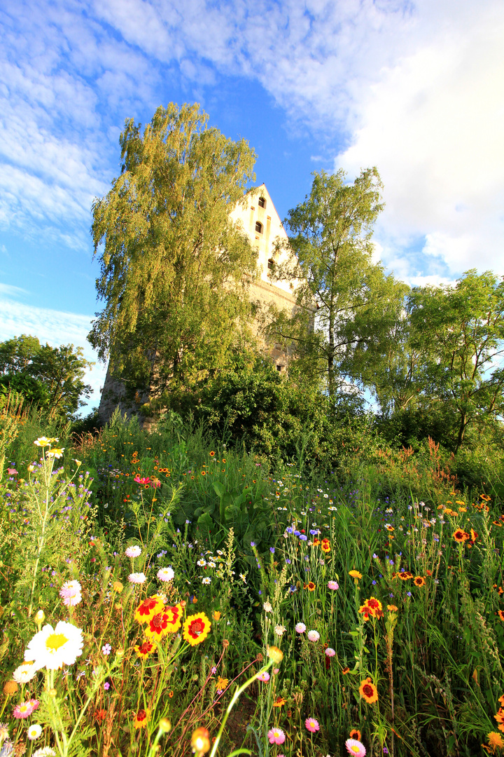 Blumenwiese in Mittelfranken