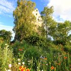 Blumenwiese in Mittelfranken