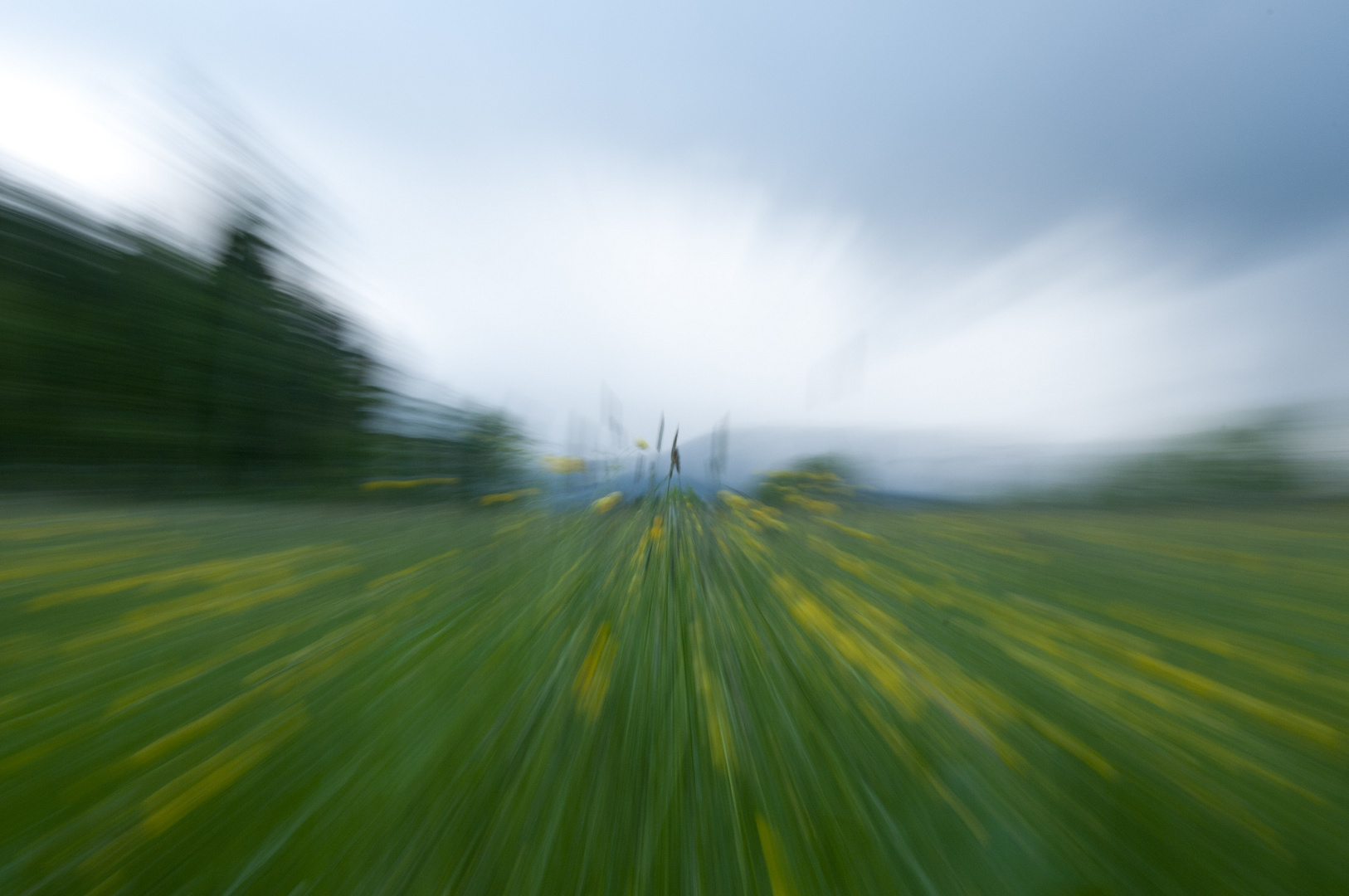 Blumenwiese mit Gewitterwolken im Hintergrund mal anders