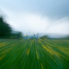 Blumenwiese mit Gewitterwolken im Hintergrund mal anders