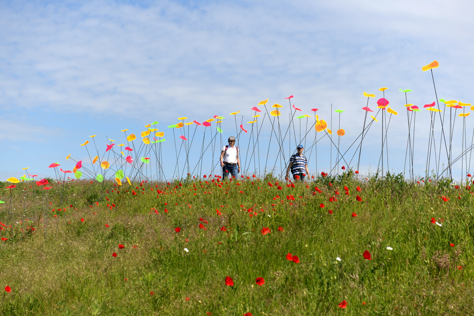 Blumenwiesen 2