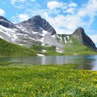 Blumenwiesen am Großen Rappensee