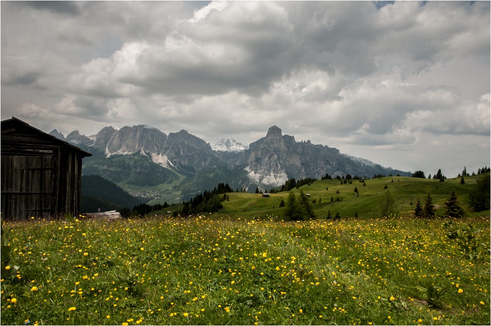 Blumenwiesen, Heuschober, Hügel und Berge