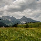 Blumenwiesen, Heuschober, Hügel und Berge