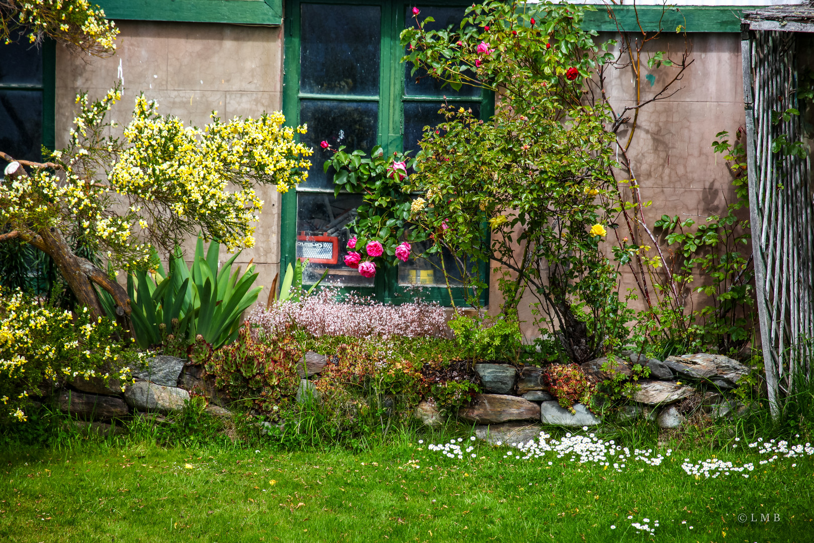 Blumenzierde am Ende der Welt