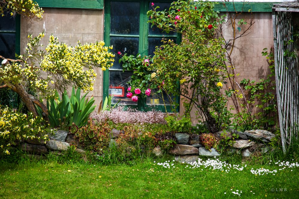 Blumenzierde am Ende der Welt