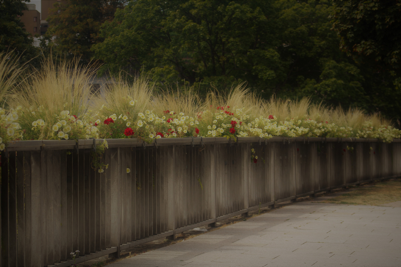 Blumenzierde am Weg entlang