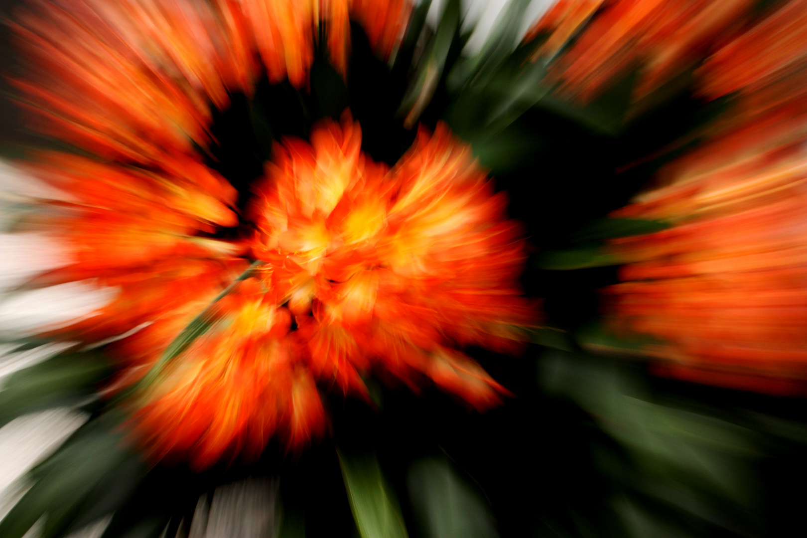 Blumenzoom