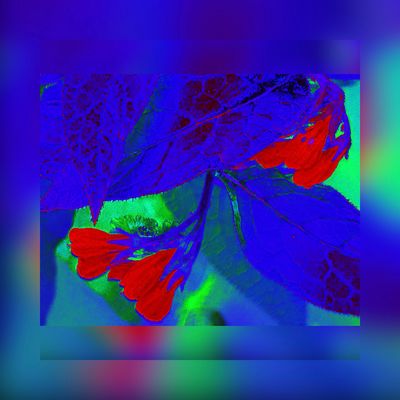 Blumig mit viel Blau