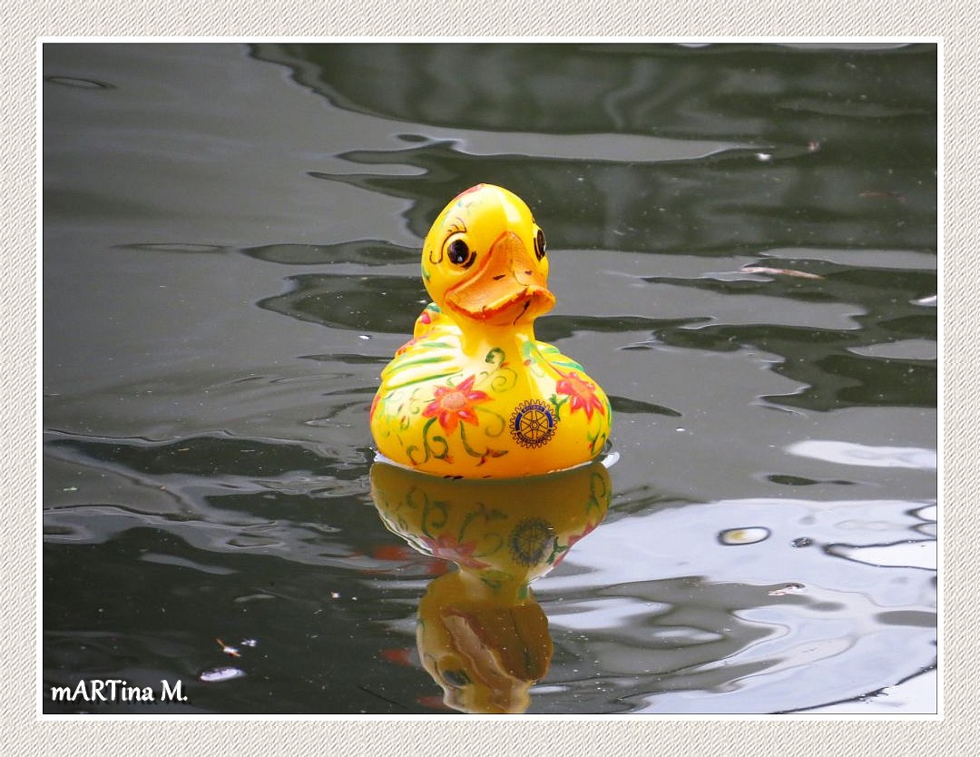 Blumige Außenseiter-Ente