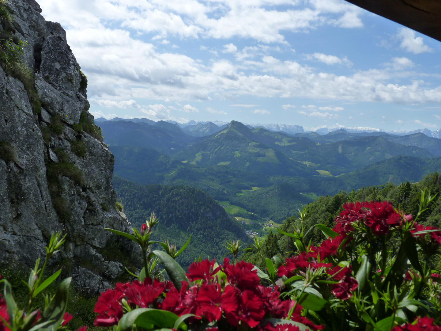 Blumige Aussicht auf die herrliche Bergkulisse