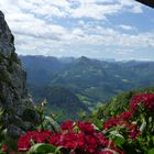 Blumige Aussicht auf die herrliche Bergkulisse