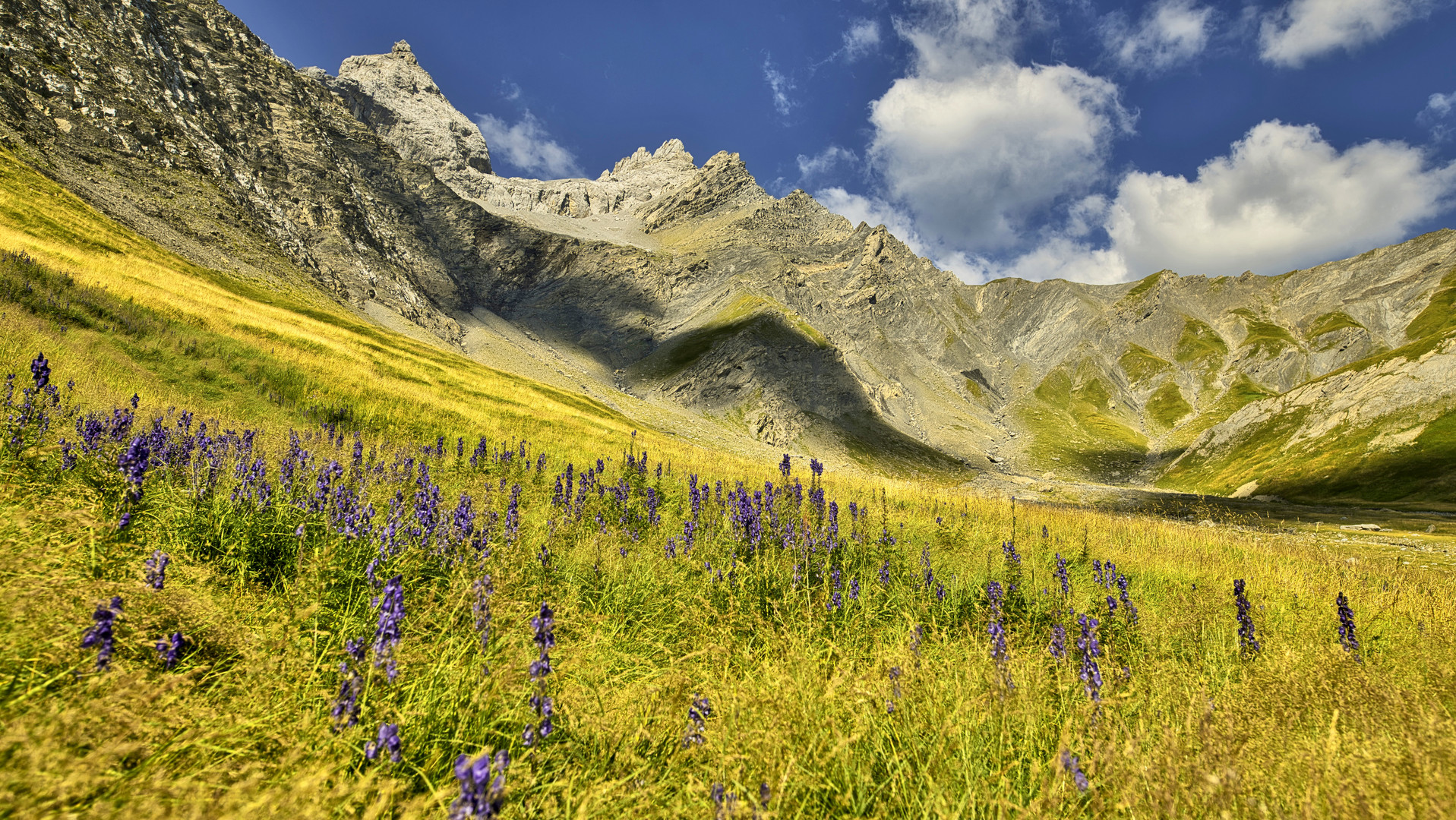 Blumige Bergwelt