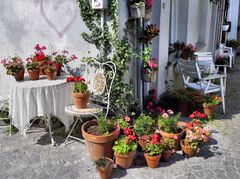 Blumige Ecke in Maastricht