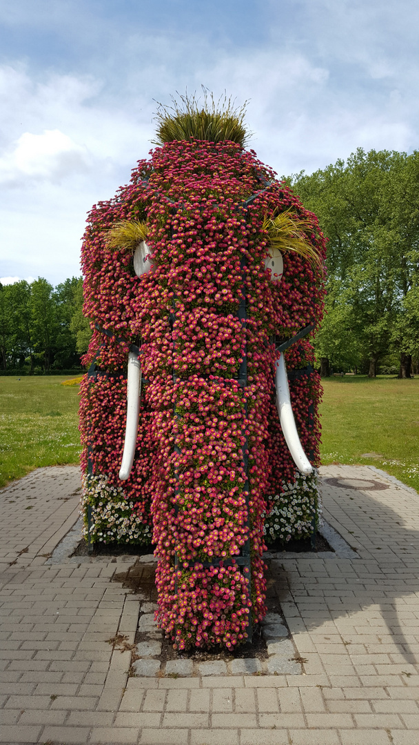 Blumige  Elefantengrüße 