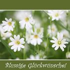 Blumige Glückwünsche!