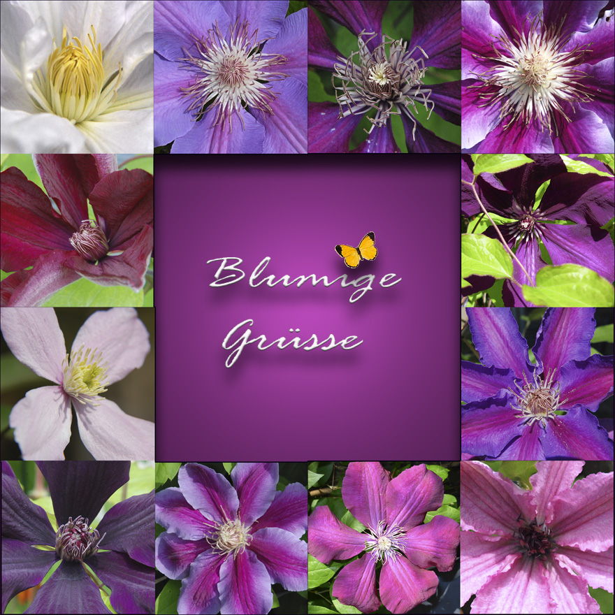 Blumige Grüsse