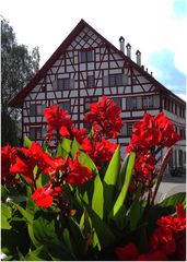 Blumige Grüsse aus der Ostschweiz