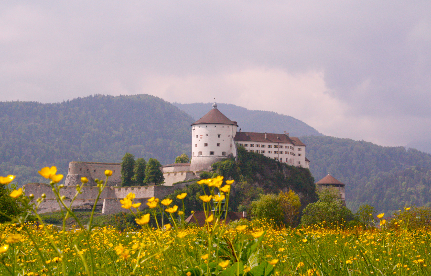 Blumige Grüße aus Kufstein