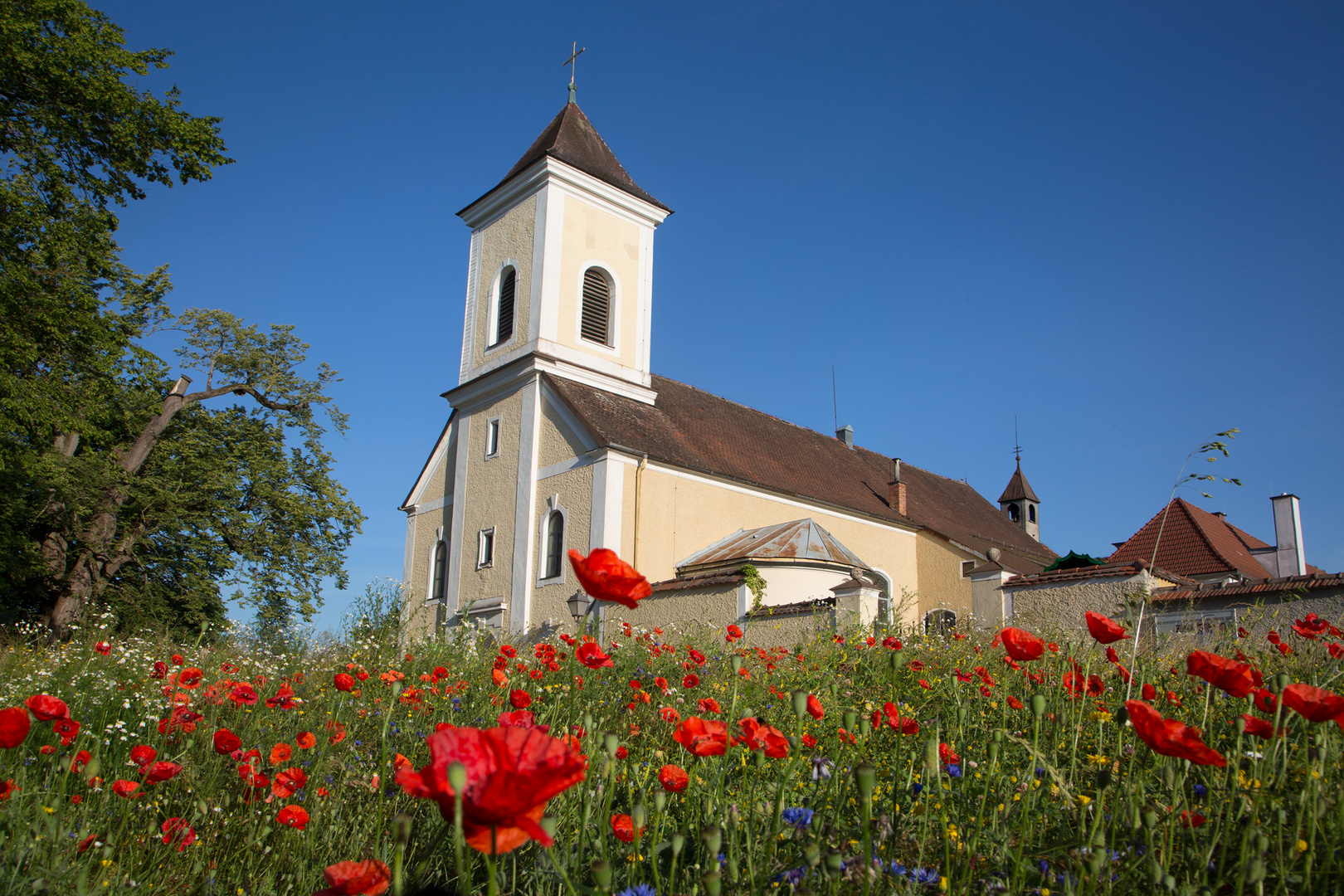 "blumige" Kirchenansicht ...