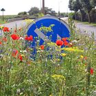 Blumige Verkehrsinsel