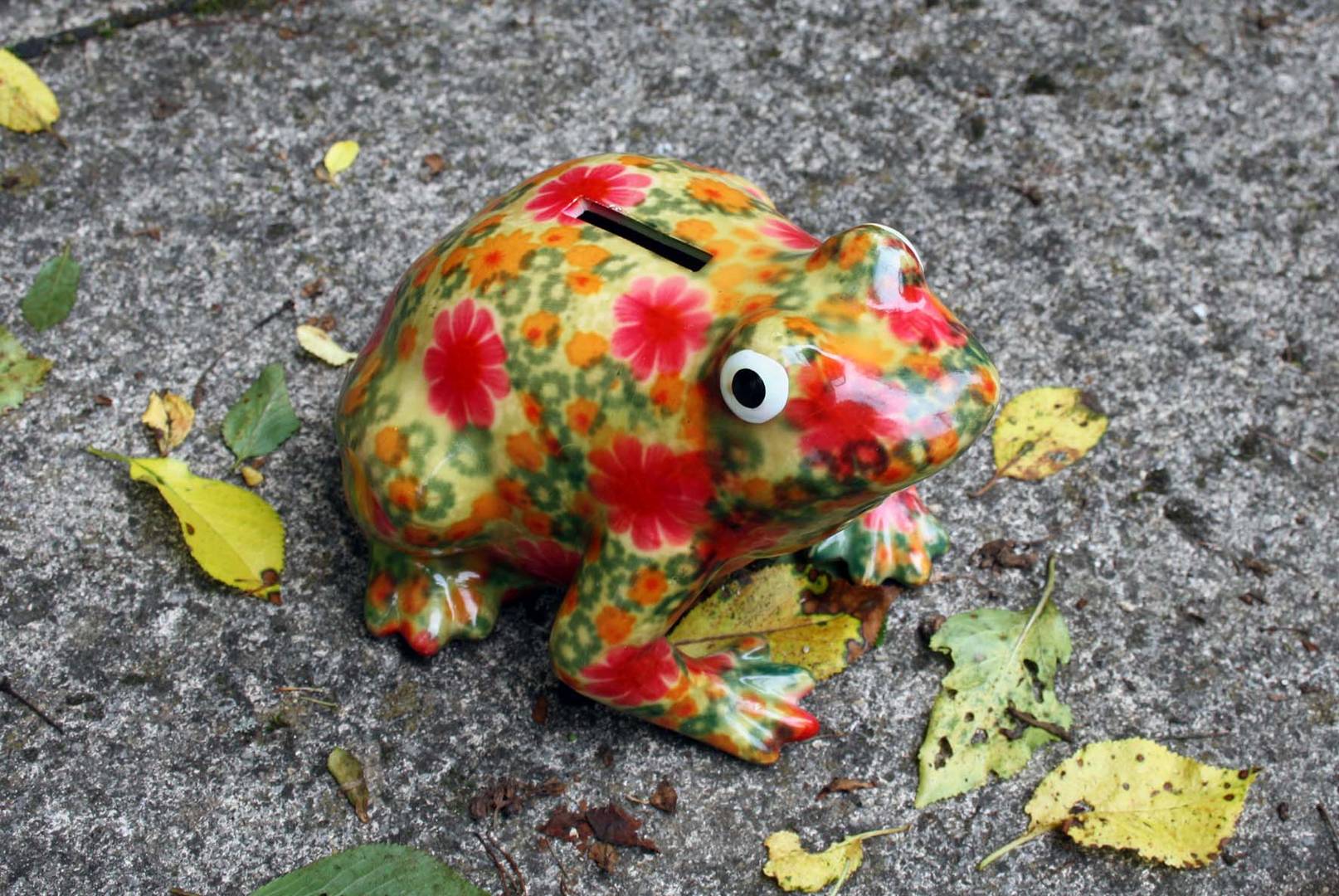 Blumiger Bettelfrosch