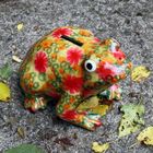 Blumiger Bettelfrosch