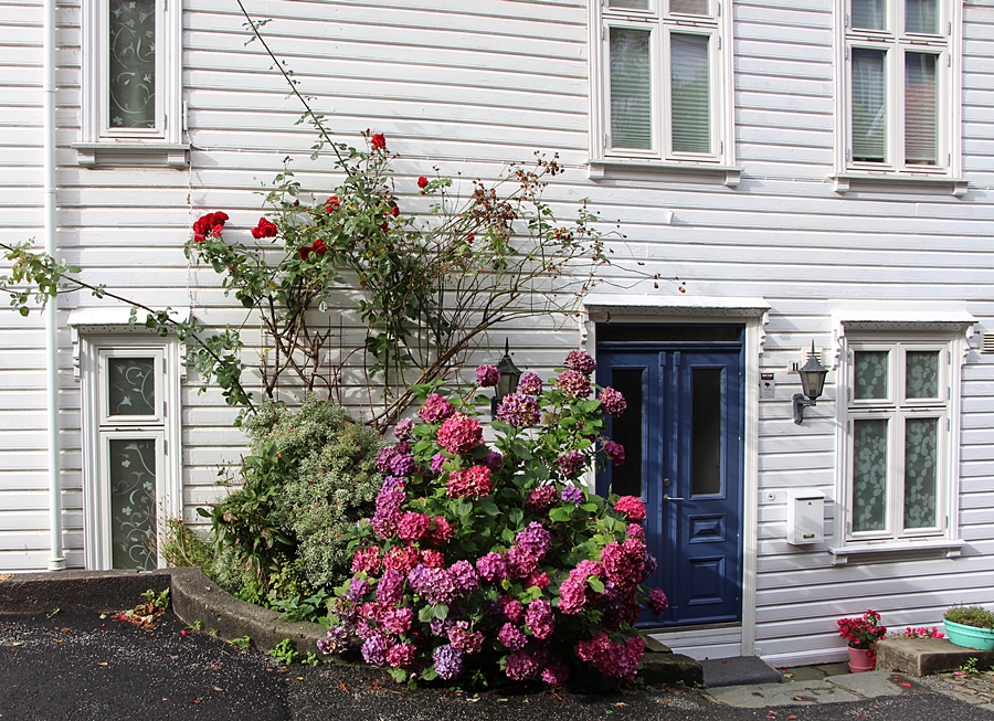 Blumiger Hauseingang in Skandinavien