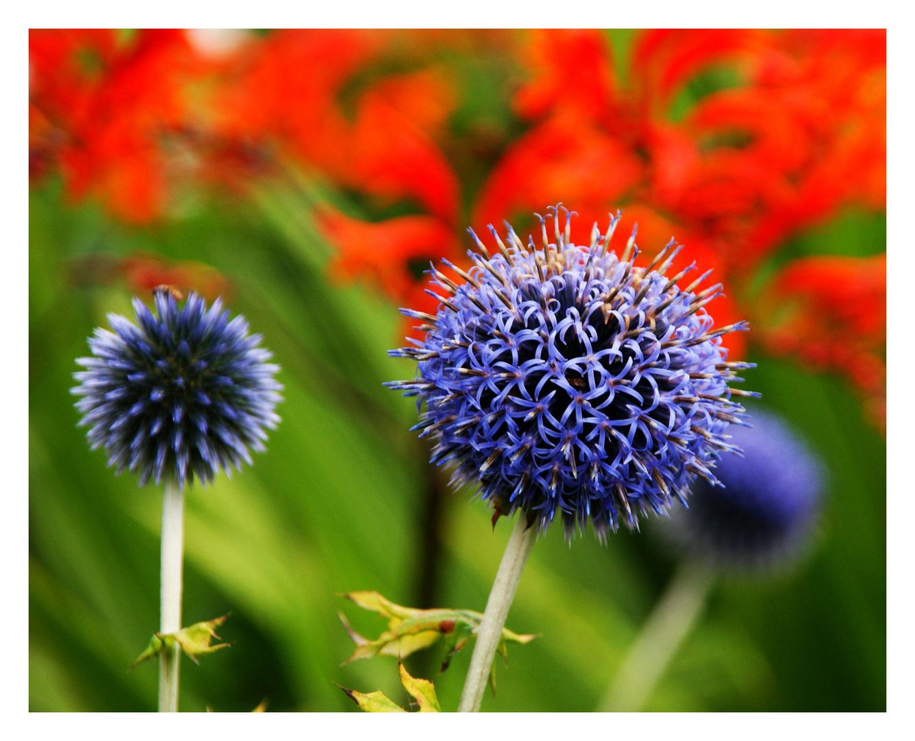 Blumiges Gemälde