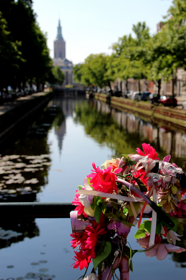 Blumiges in Den Haag