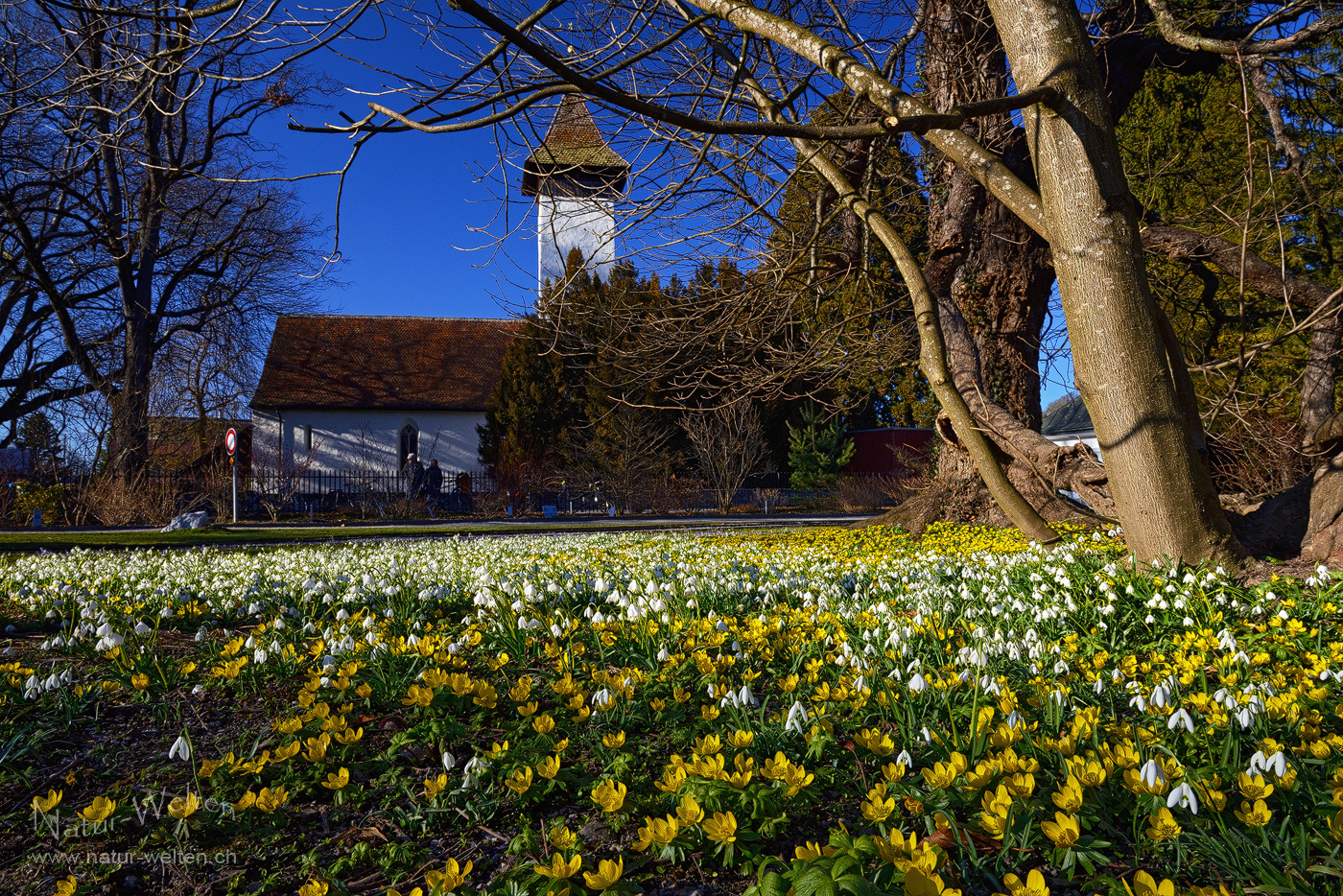 Blumiges Schadaukirchlein