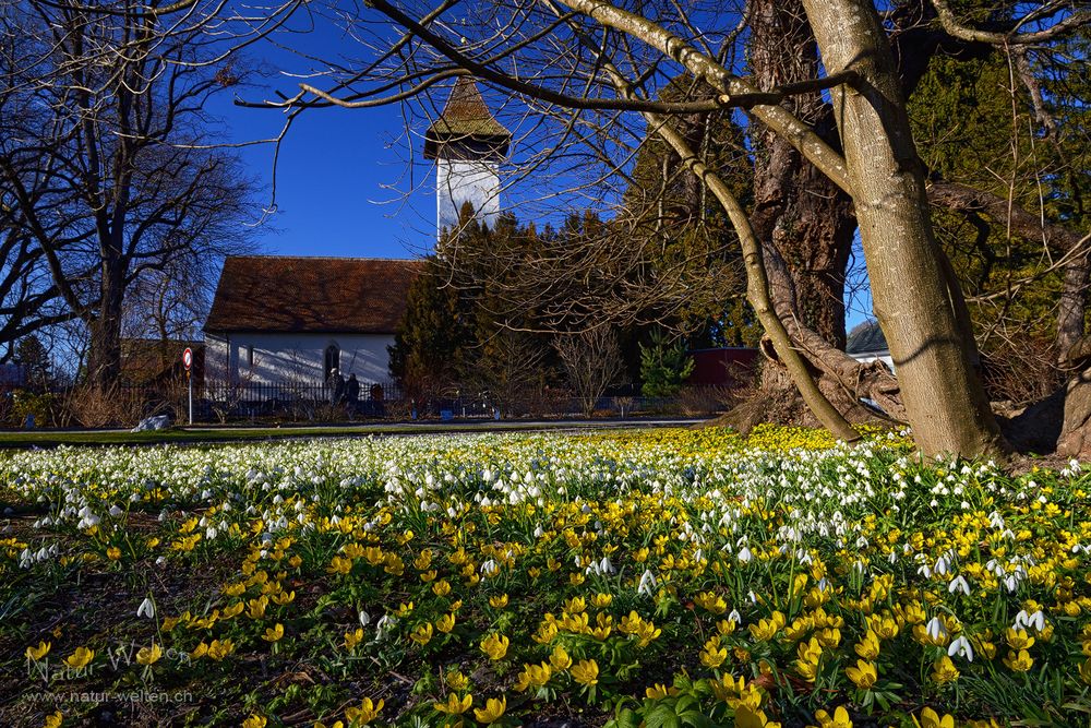 Blumiges Schadaukirchlein