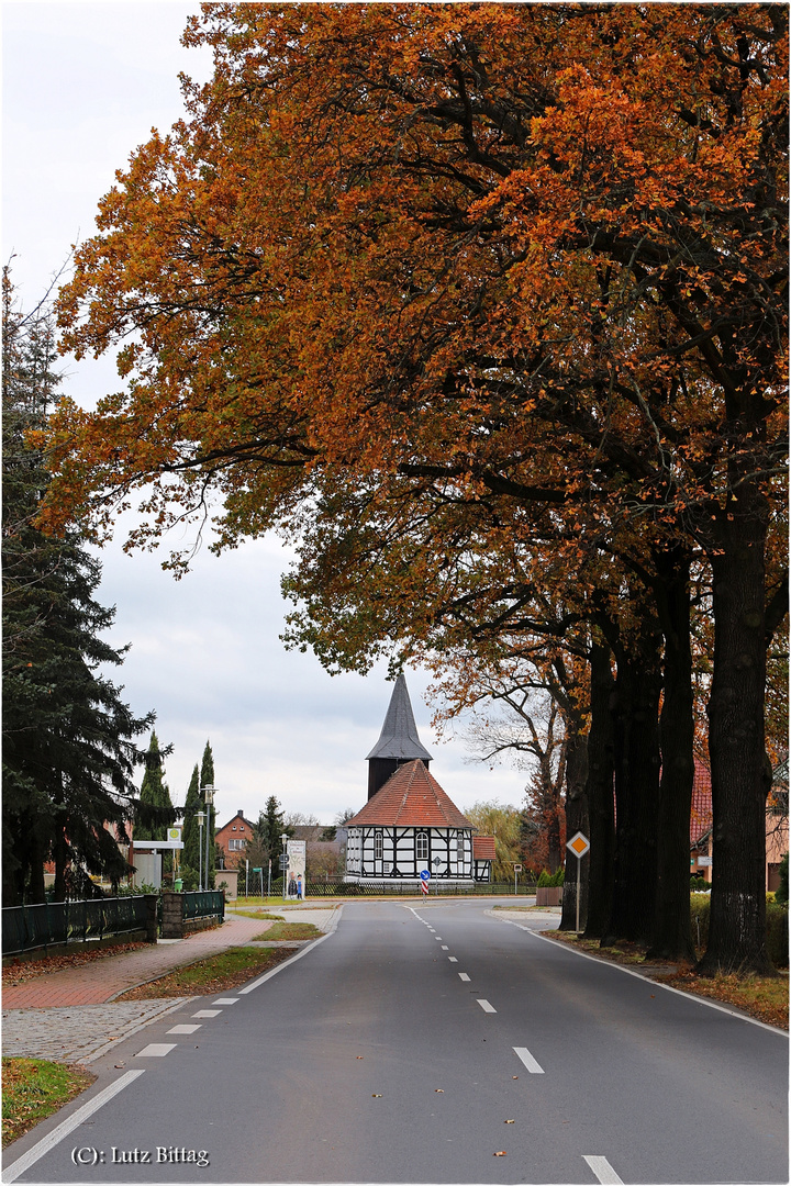 Bluno - von Kohle umgeben