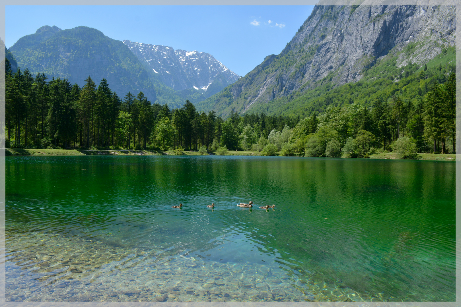 Bluntausee