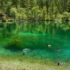 Bluntausee Gosling an der Salzach