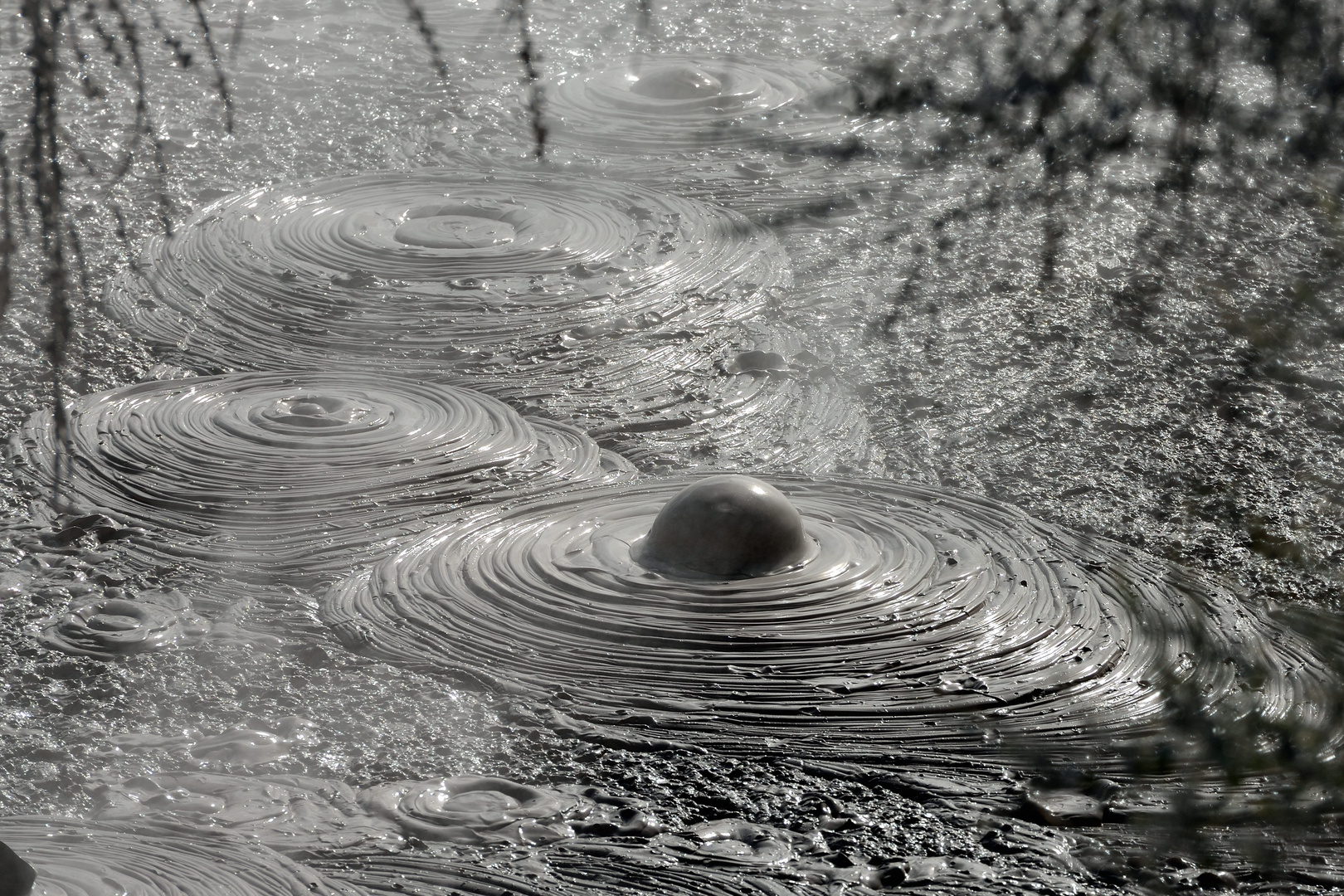 "Blupp" im Wai-O-Tapu Thermalgebiet