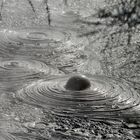 "Blupp" im Wai-O-Tapu Thermalgebiet