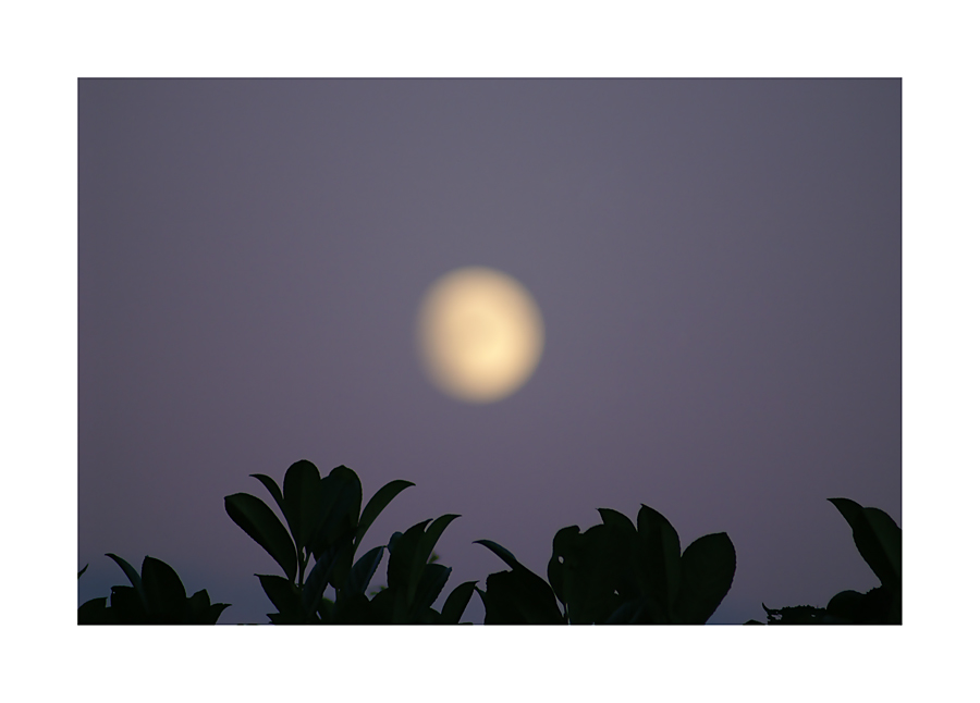 blur moon