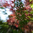 Blurred Nature IV